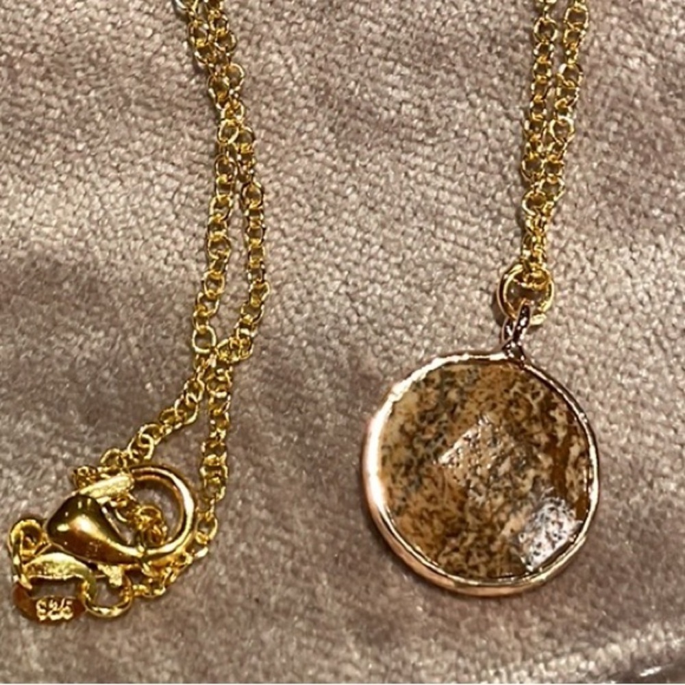 Natural Picture Jasper Pendant Necklace NWOTS